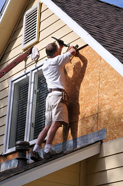 Best Hoarding Cleanup  in Mallory, WV
